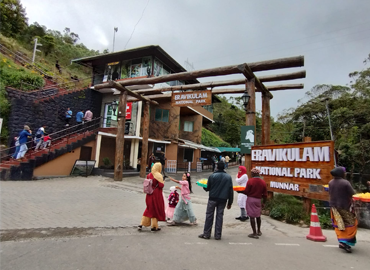 Image Gallery